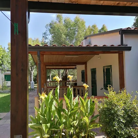 Nina's House, 2