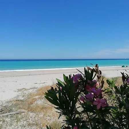 Apartment Casa Sul Mare 2 *